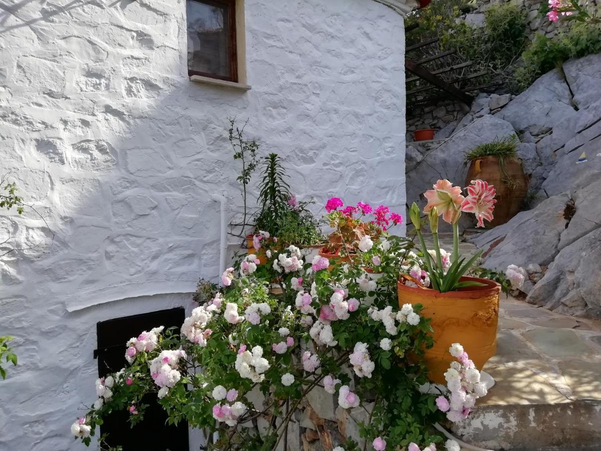 Arbeli House Villa Mandraki  Exteriör bild